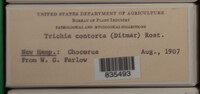 Image Associated With the Occurence